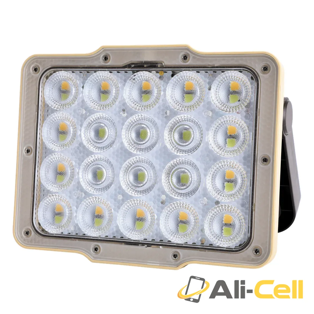 Green Lion Solar Flood Light with 4800mAh Battery & 43 LED Beads - Black