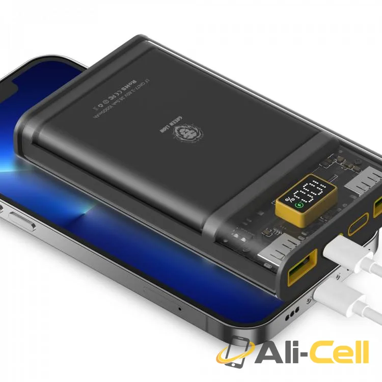 Green Lion Super Fast Transparent Power Bank 10000mAh ( QC 22.5W + PD 20W ) — 2