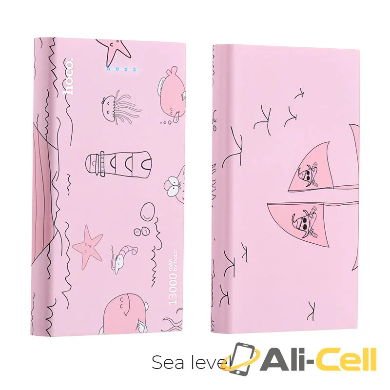 Power bank «B12D Ocean pattern» 13000 mAh dual USB output